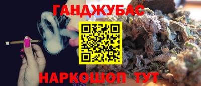 jwh Кингисепп