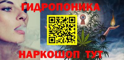 jwh Кингисепп