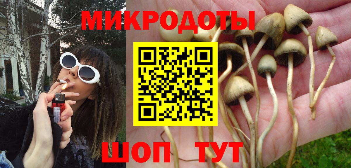 Краснокаменск  Псилоцибиновые грибы мицелий  магазин продажи   Вход с VPN 
